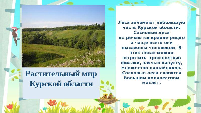 Новое в блогах