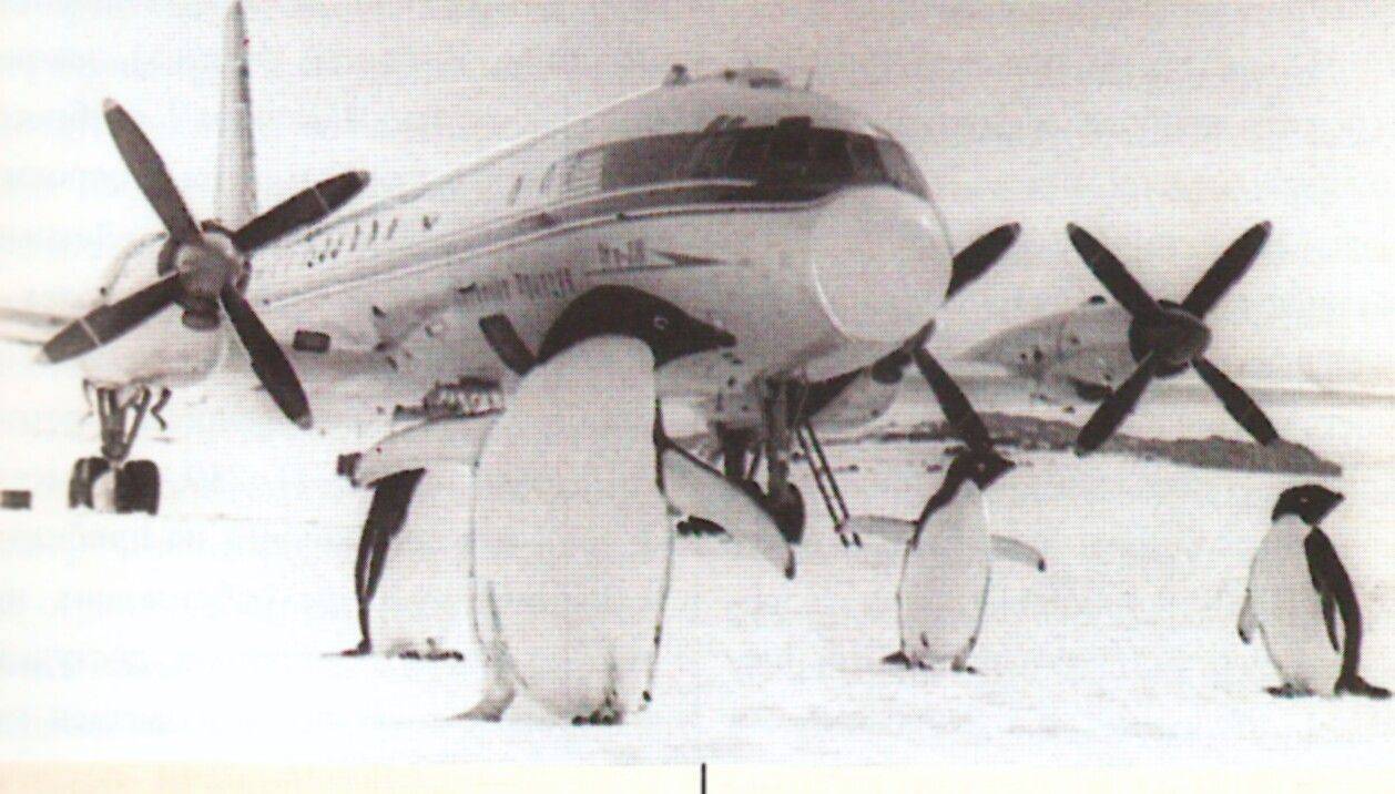 Ил-18 самолет, пассажирский самолет ил-18, самолет ссср