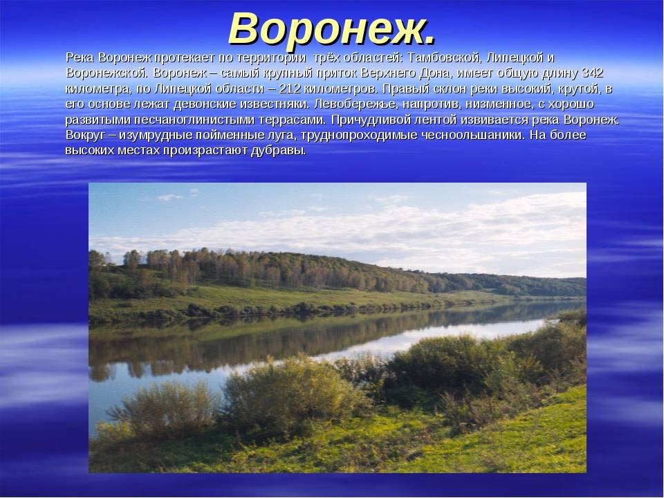 Тема наш край 4 класс. Река Воронеж 4 класс. Сообщение о реке Воронеж. Сообщение о реках Воронежской области. Водоемы нашего края Воронеж.