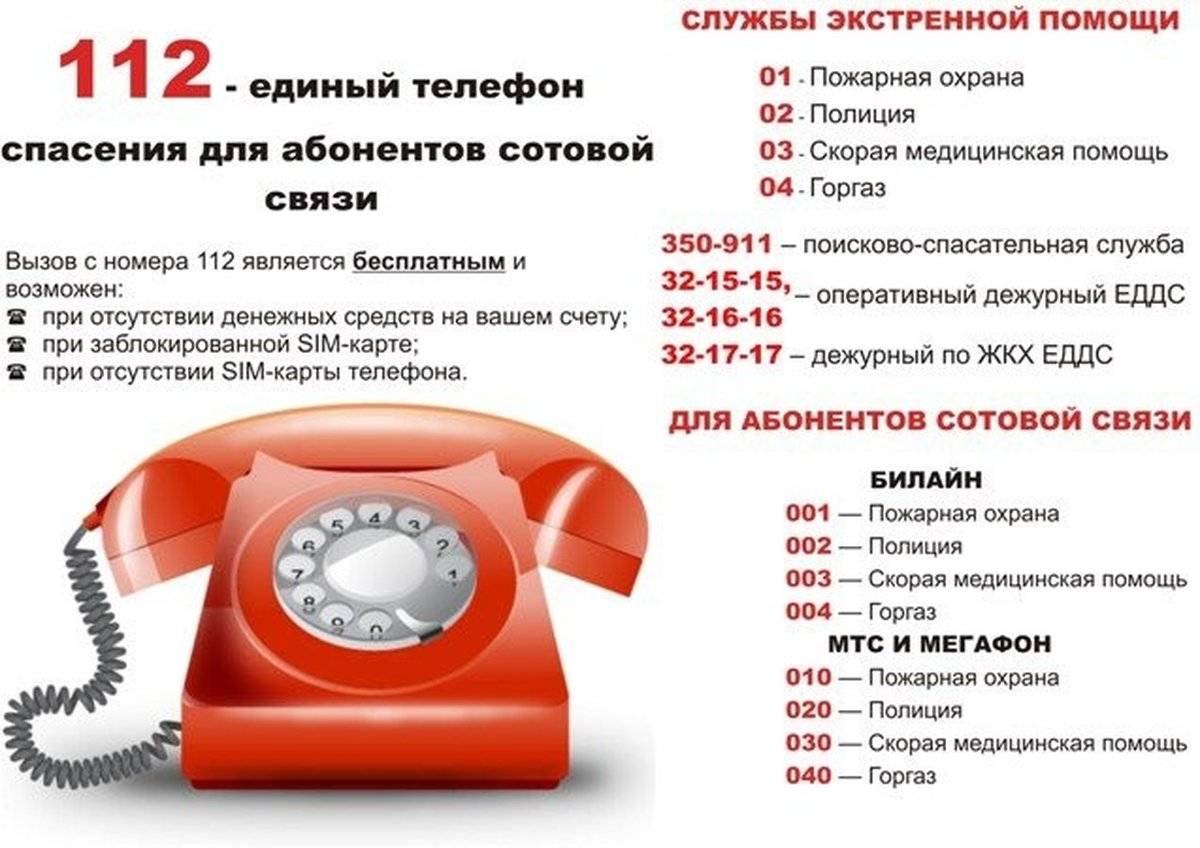 Адреса и телефоны в польше  – арриво