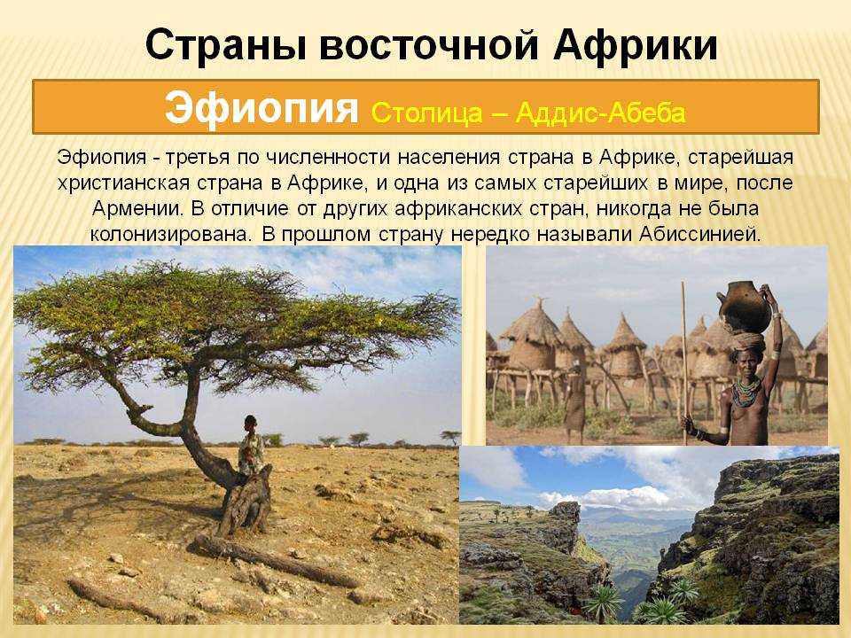 Вакцинация путешественников