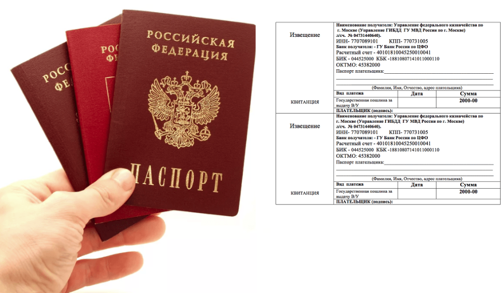 Штраф за утерю паспорта в 2021 году: необходимые документы и сумма