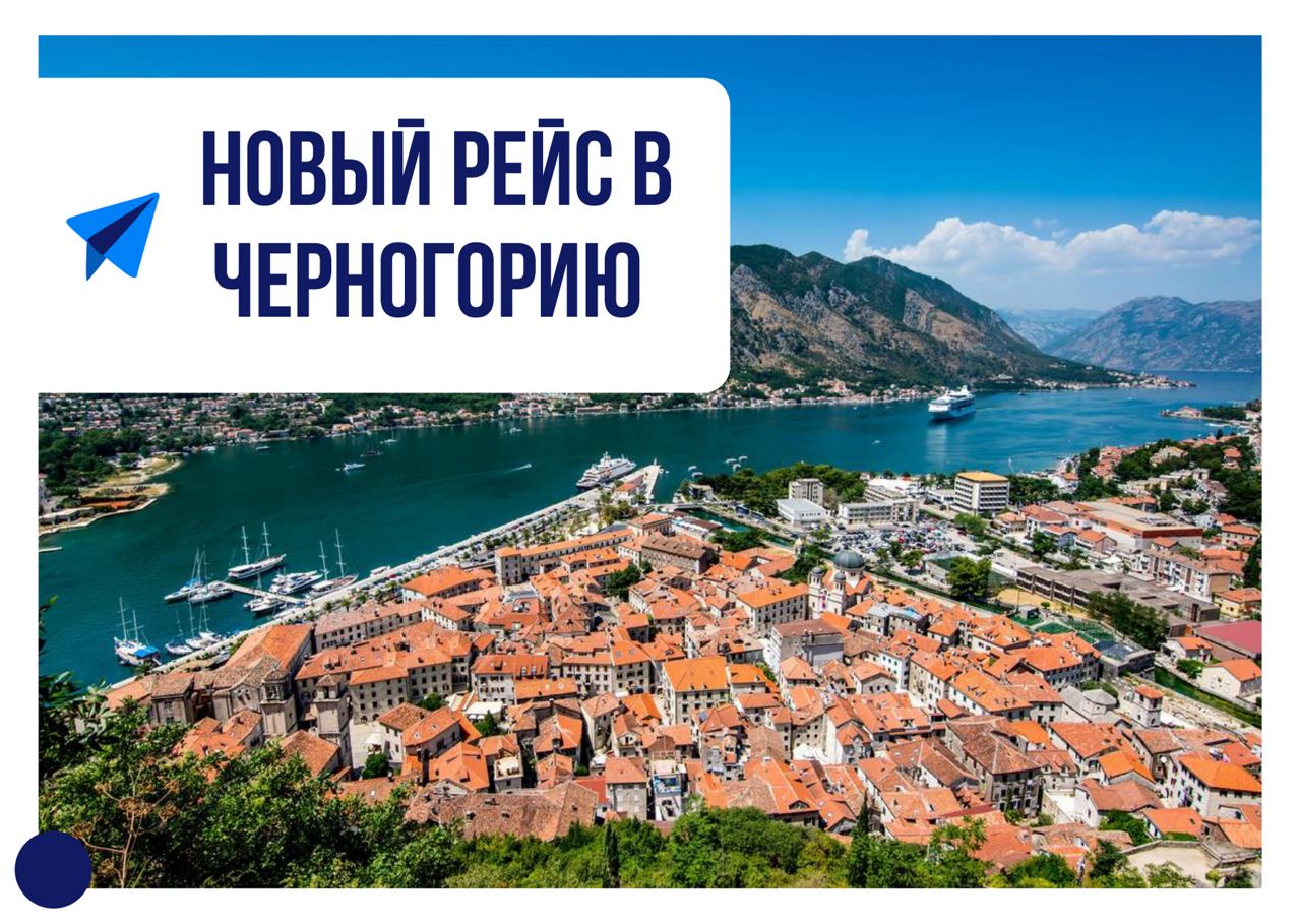 Работа в черногории в 2023: востребованные профессии, особенности трудоустройства, кем работать