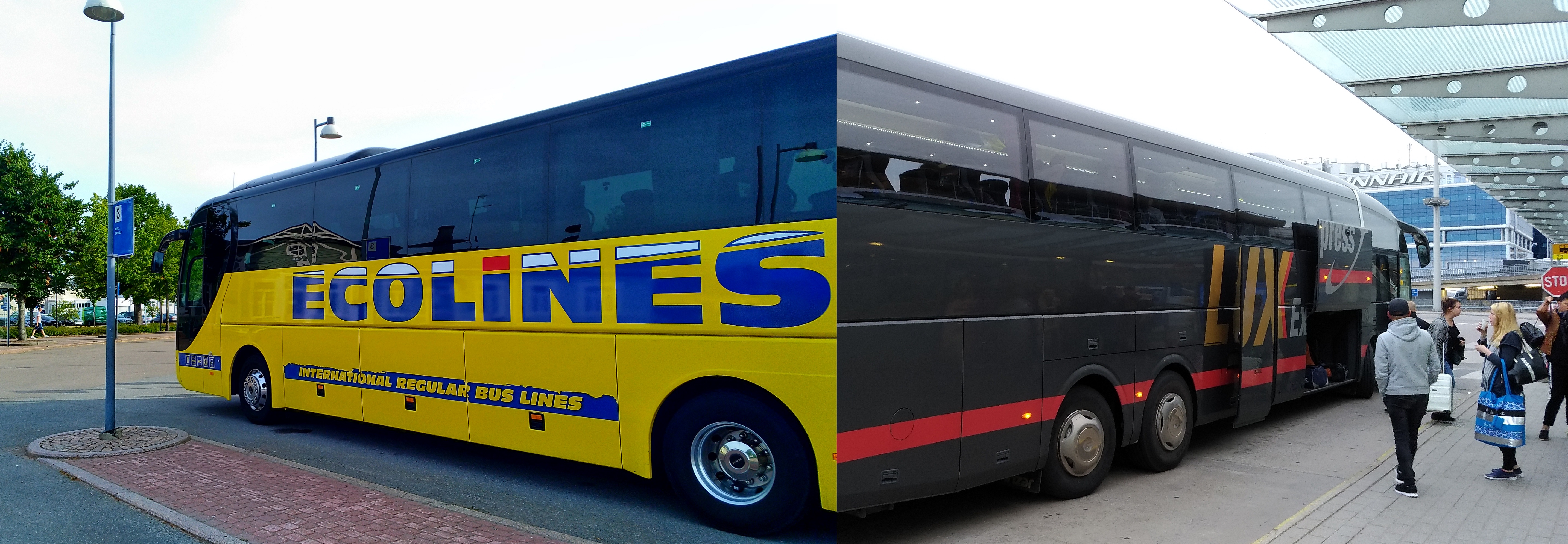 Обзор автобусов компании ecolines