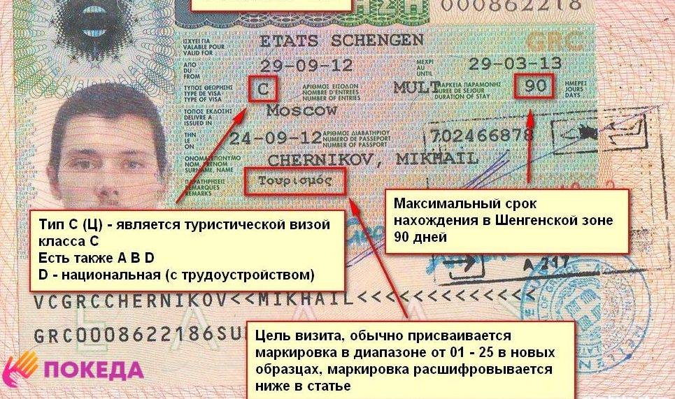 Как получить шенгенскую визу для работы: порядок оформления