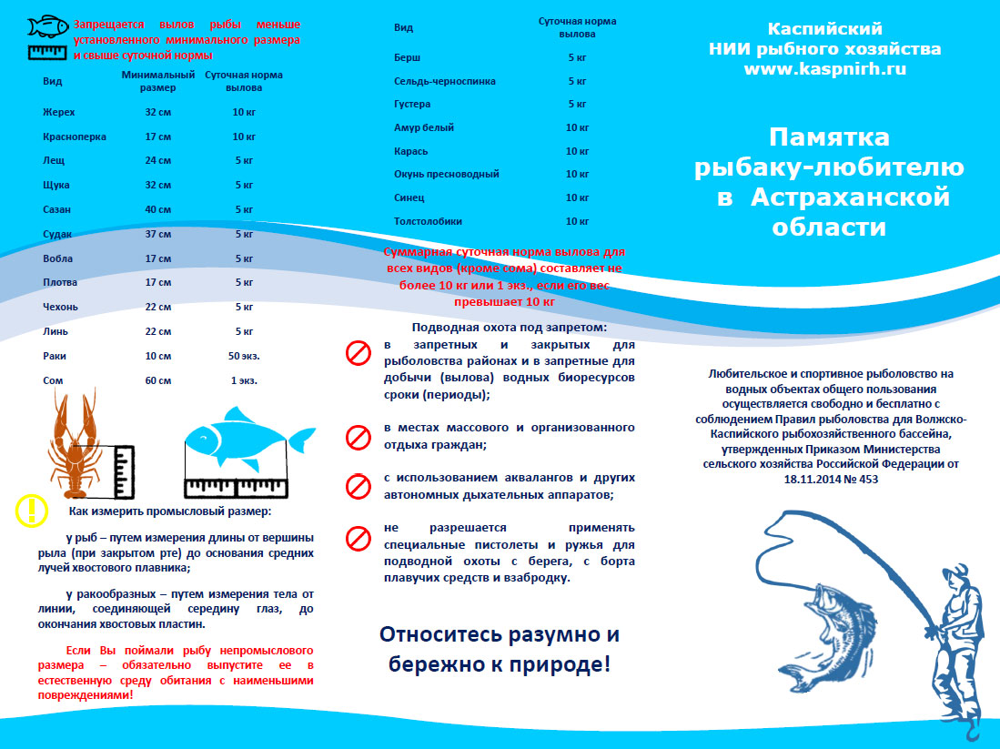 Закон о рыбалке в россии 2023: штрафы, правила, запреты и нормы вылова рыбы