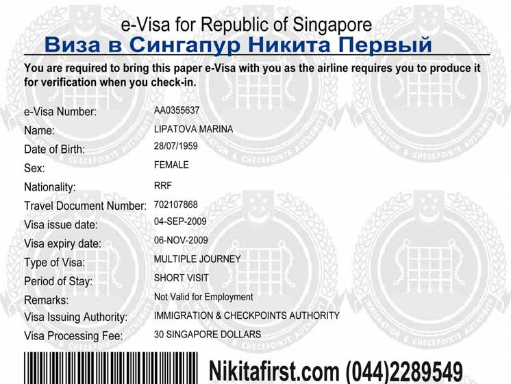 Виза в сингапур: правила оформления, документы, требования