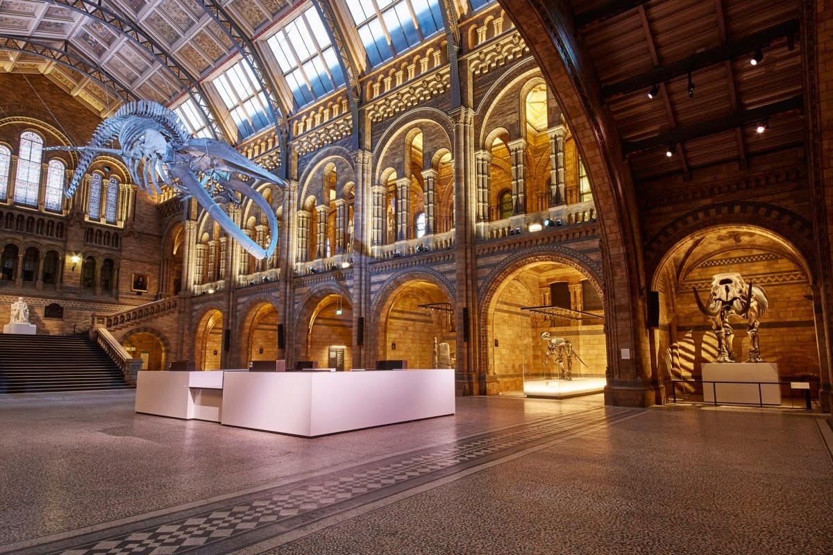 Посетите лондонские музеи и галереи с бесплатным входом - европа 2023