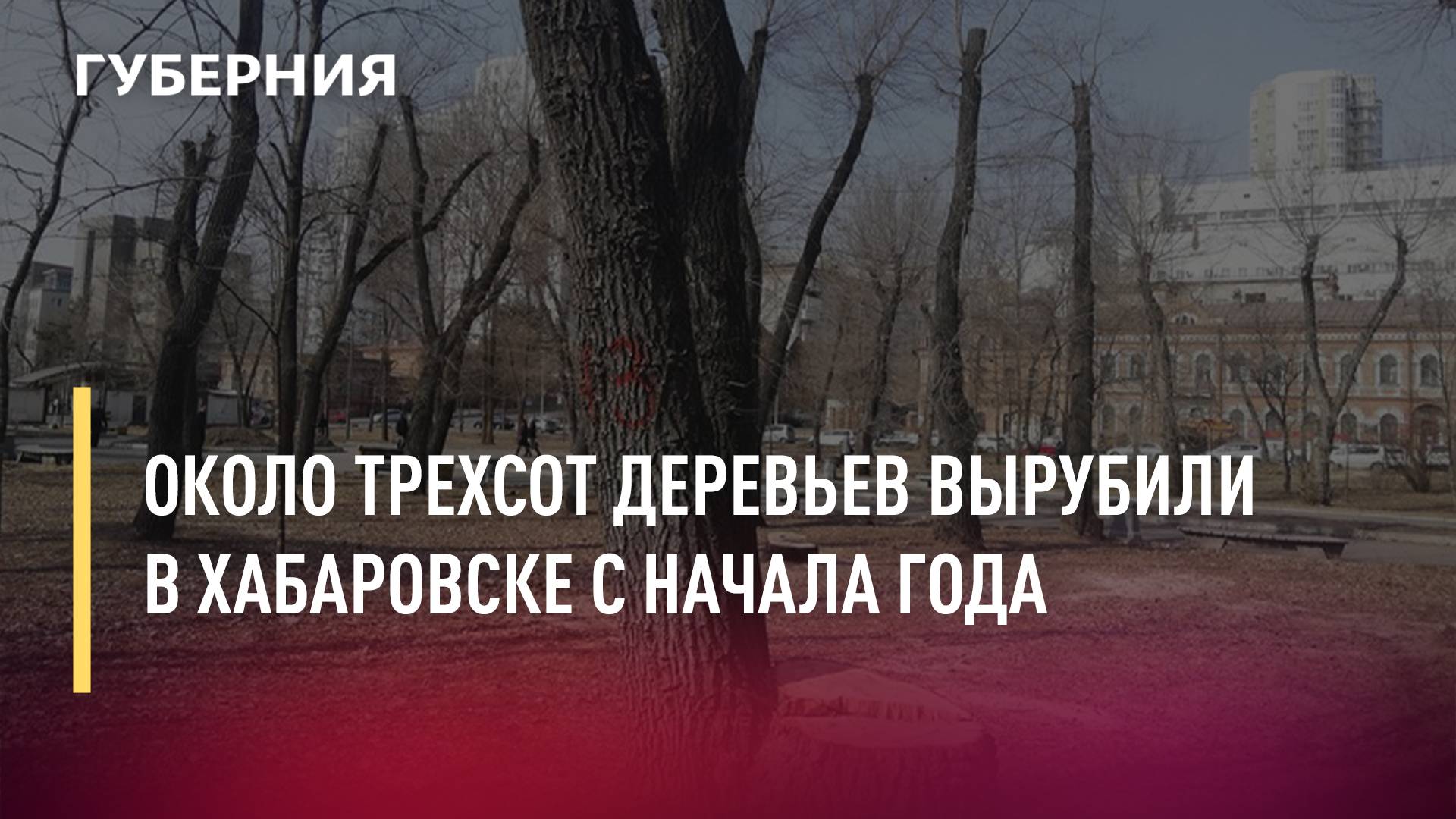 Хабаровский край, история и география