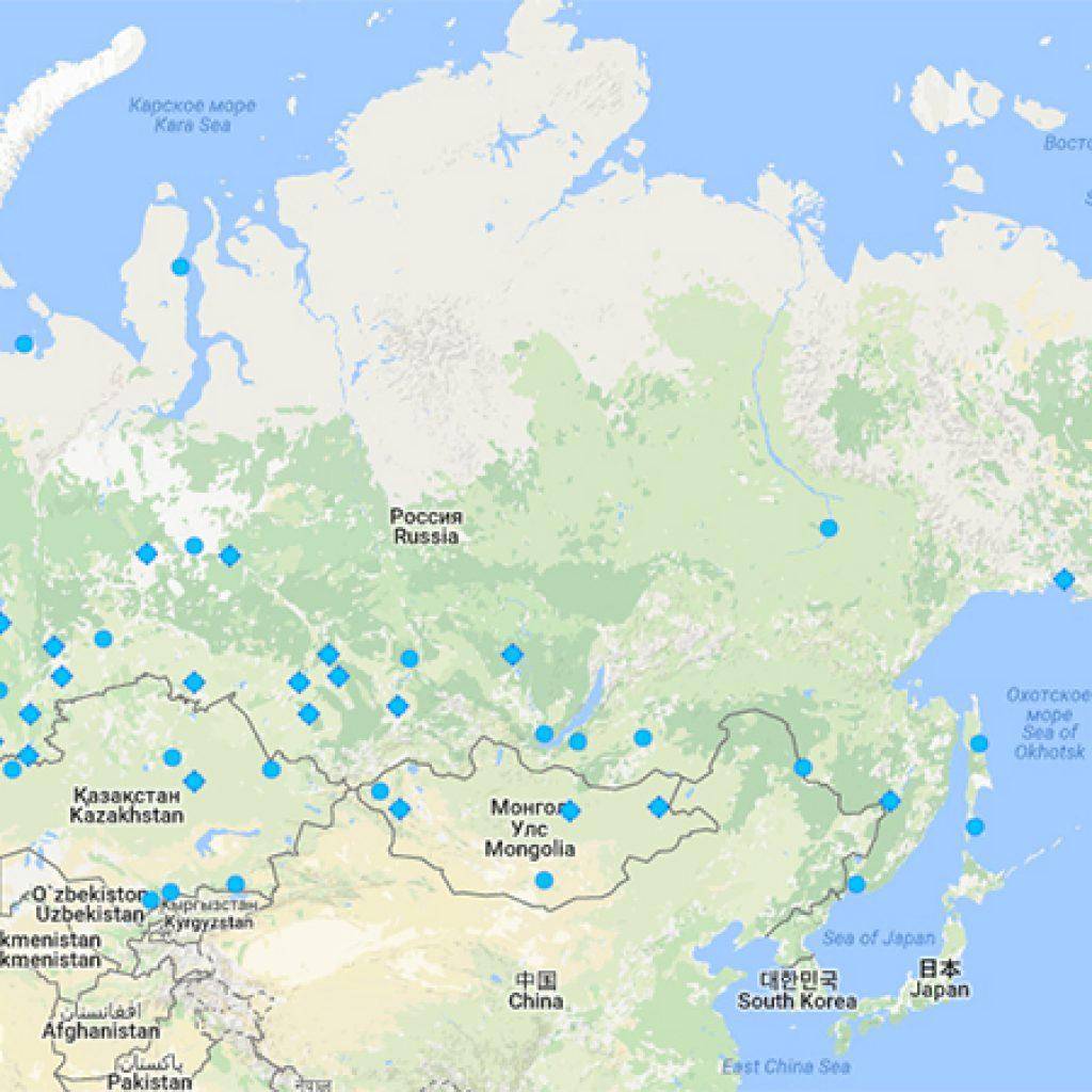 Аэропорты россии: сколько их, где и в каких городах есть, и количество международных, число и список всех действующих гражданских в рф на 2021 год – кпа, нжс, первый