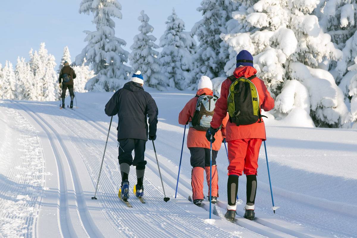 Горнолыжные курорты северного кавказа – топ 10 – самые популярные трассы для треккинга и катания на лыжах и сноуборде, как добраться и где кататься на северном кавказе · youtravel.me