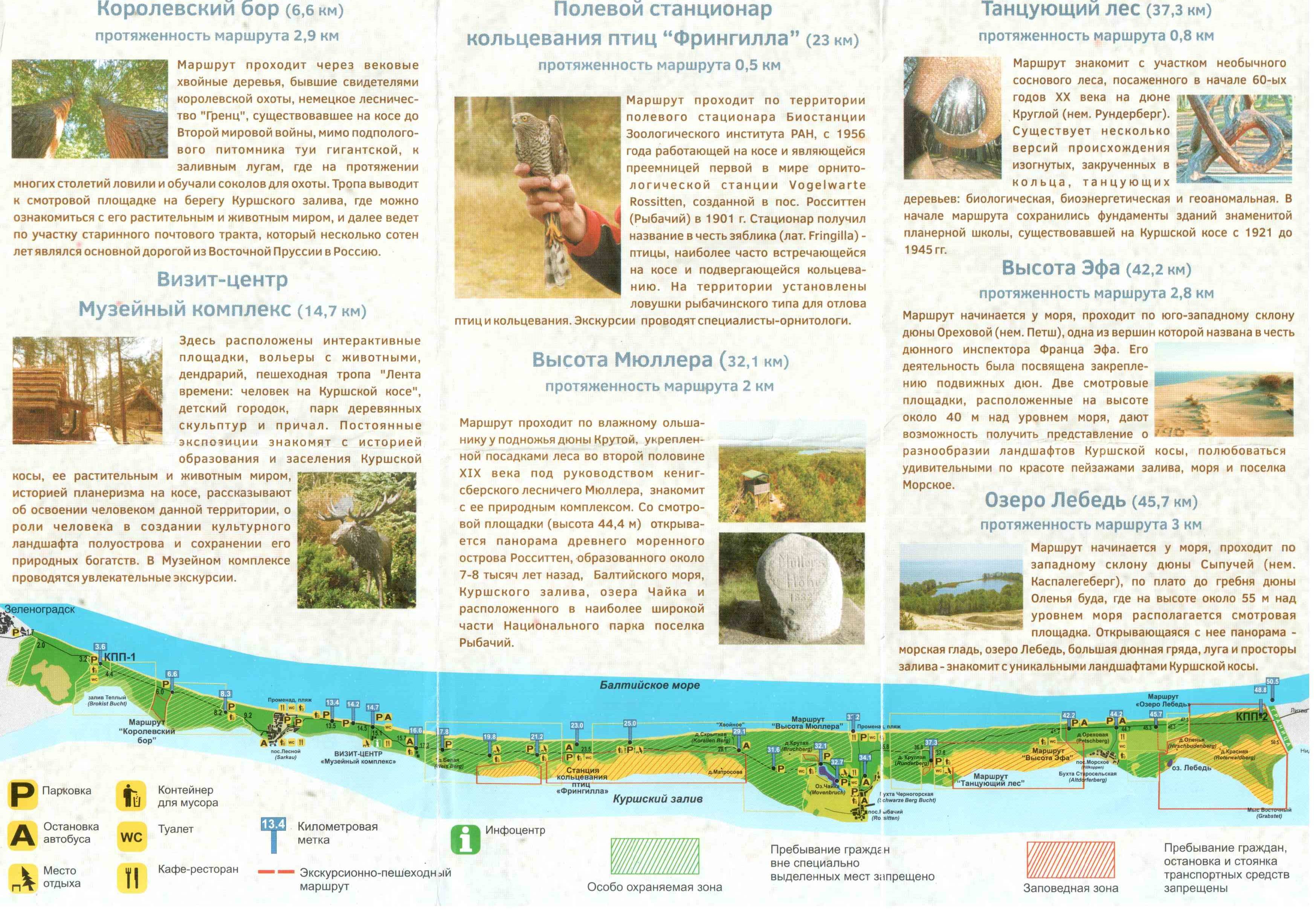 Куршская коса маршрут. Калининград национальный парк Куршская коса карта. Куршская коса Калининград карта с достопримечательностями. Путеводитель Куршской косе карта. Национальный парк Куршская коса схема.