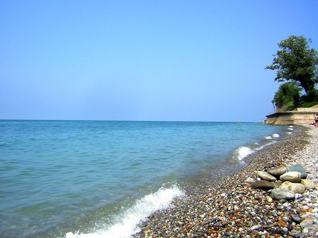 Черное море отдых
