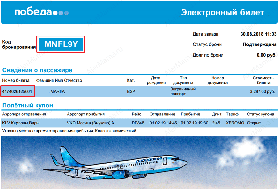 Проверка билета самолет победа нижнекамск махачкала авиабилеты прямой рейс