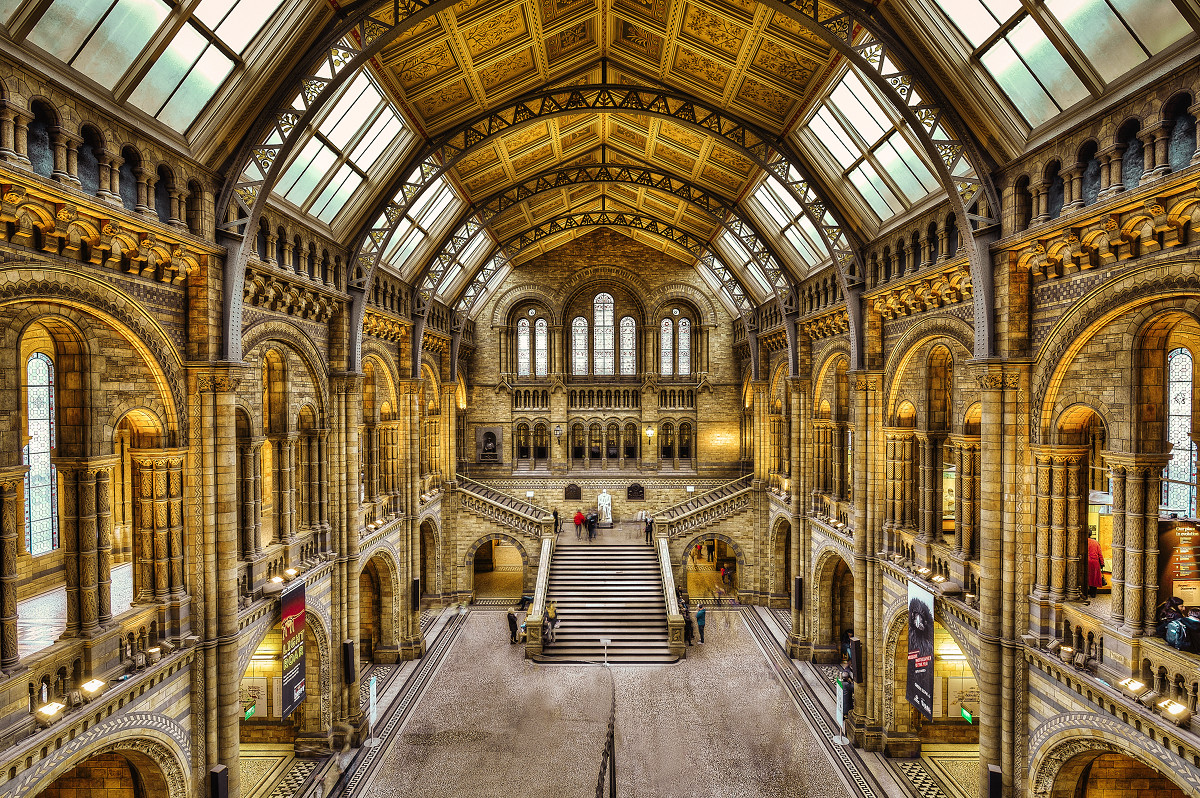 Самые важные музеи лондона