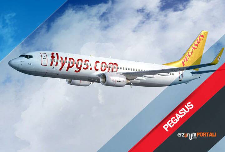 Авиакомпании турции pegasus airlines h9 pgt - сайт на русском