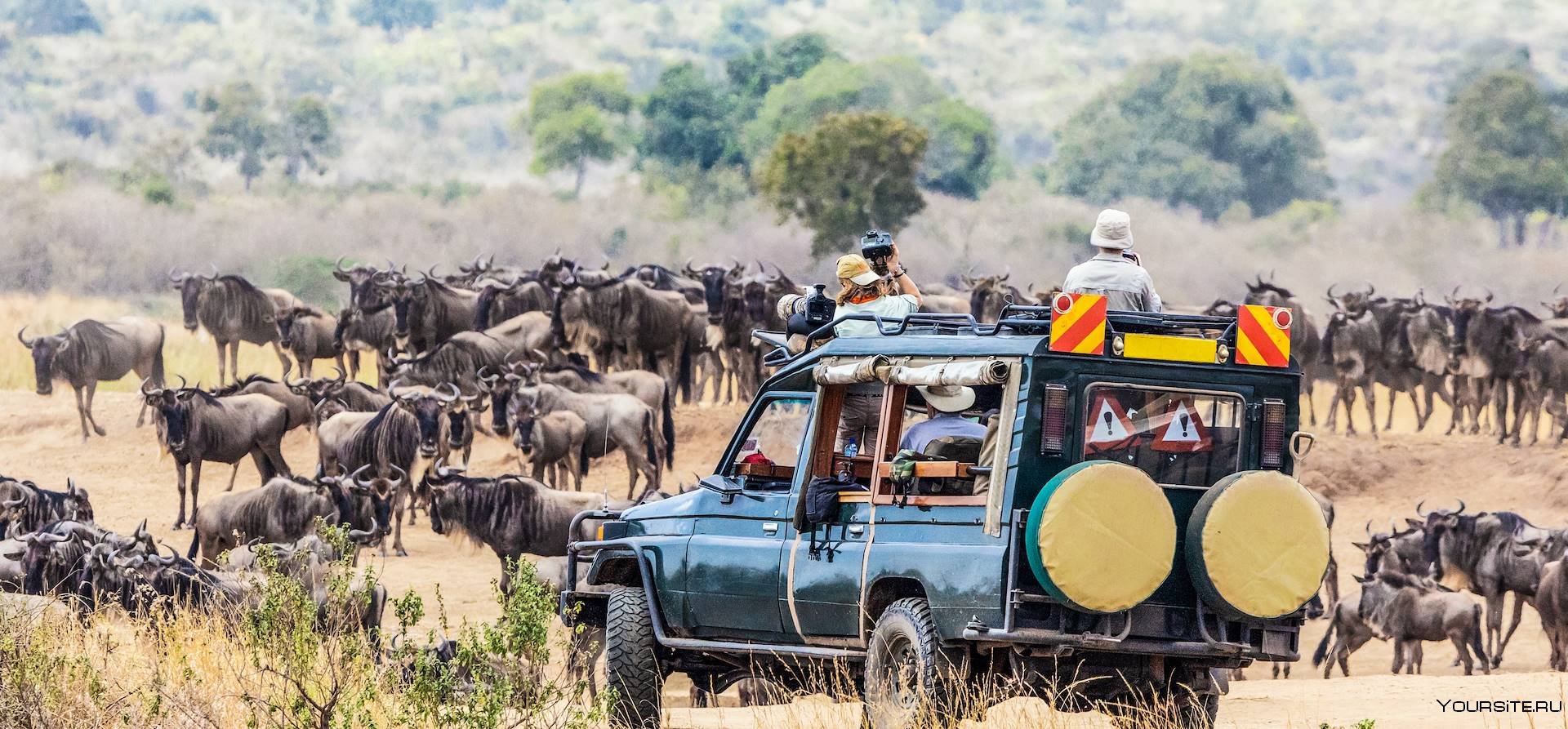Национальные парки Кении и сафари-туры в Африке