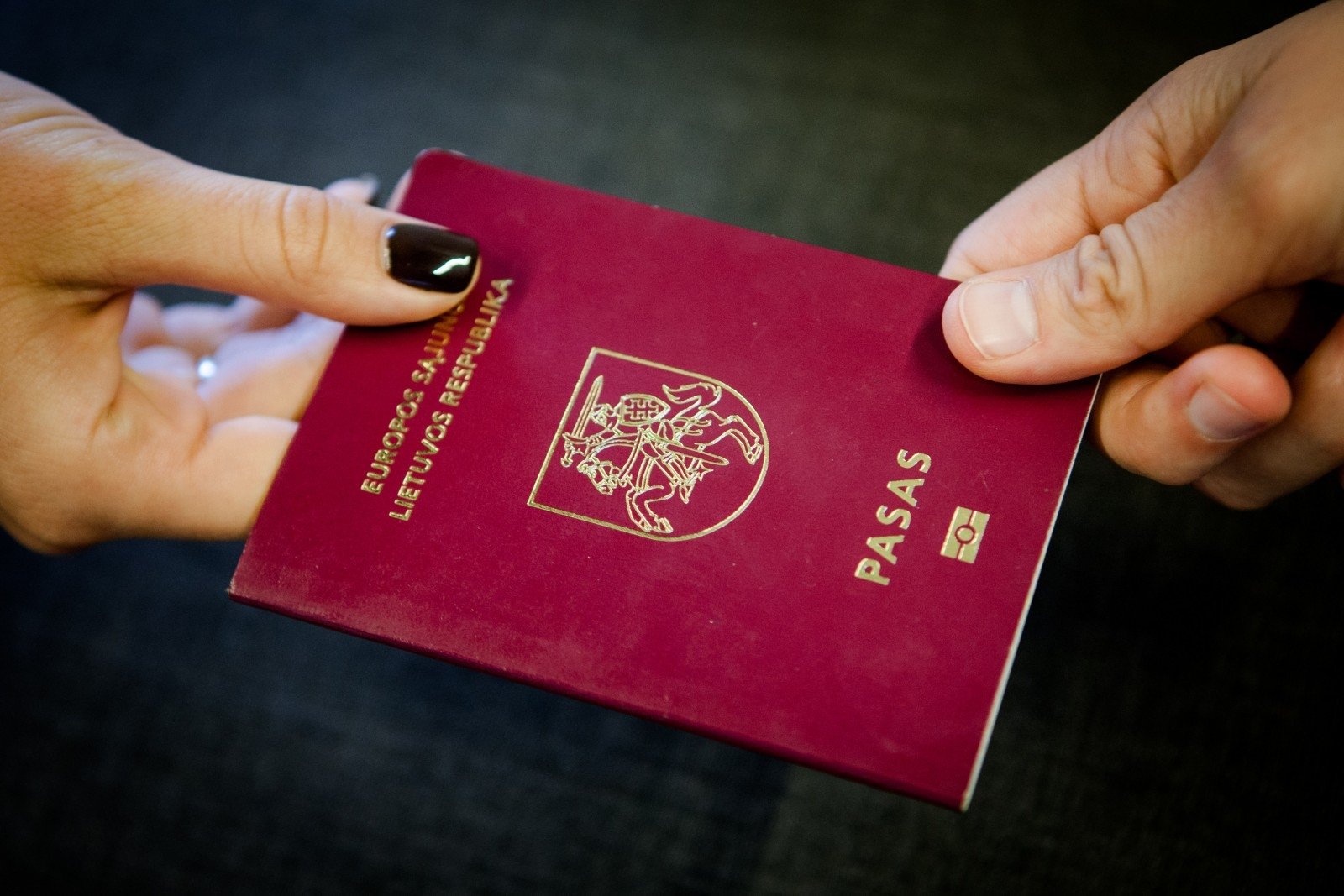 Гражданство литвы: как россиянину получить литовский паспорт
