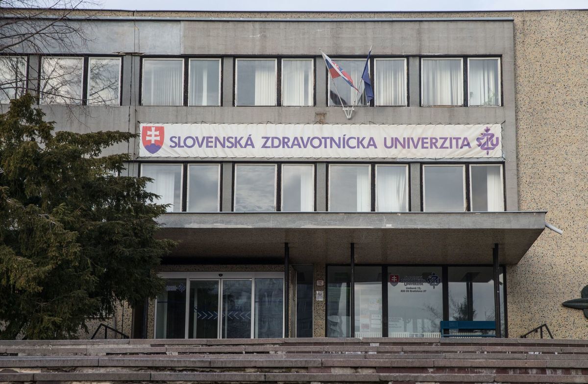 Бесплатное высшее образование в словакии, поступление и программы | «обучение за рубежом»