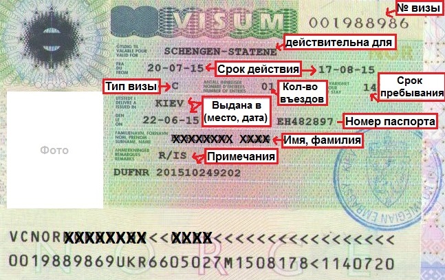 Как выглядит виза и какую информацию она содержит?