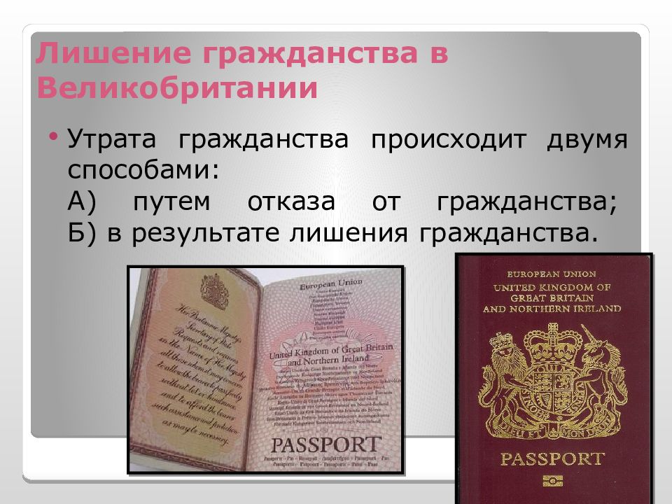 Как получить гражданство великобритании россиянину в 2020 году