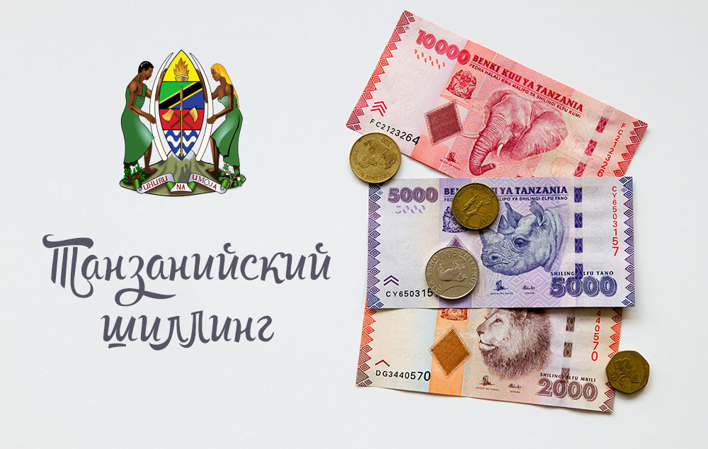 С какой валютой лучше всего ехать в черногорию?