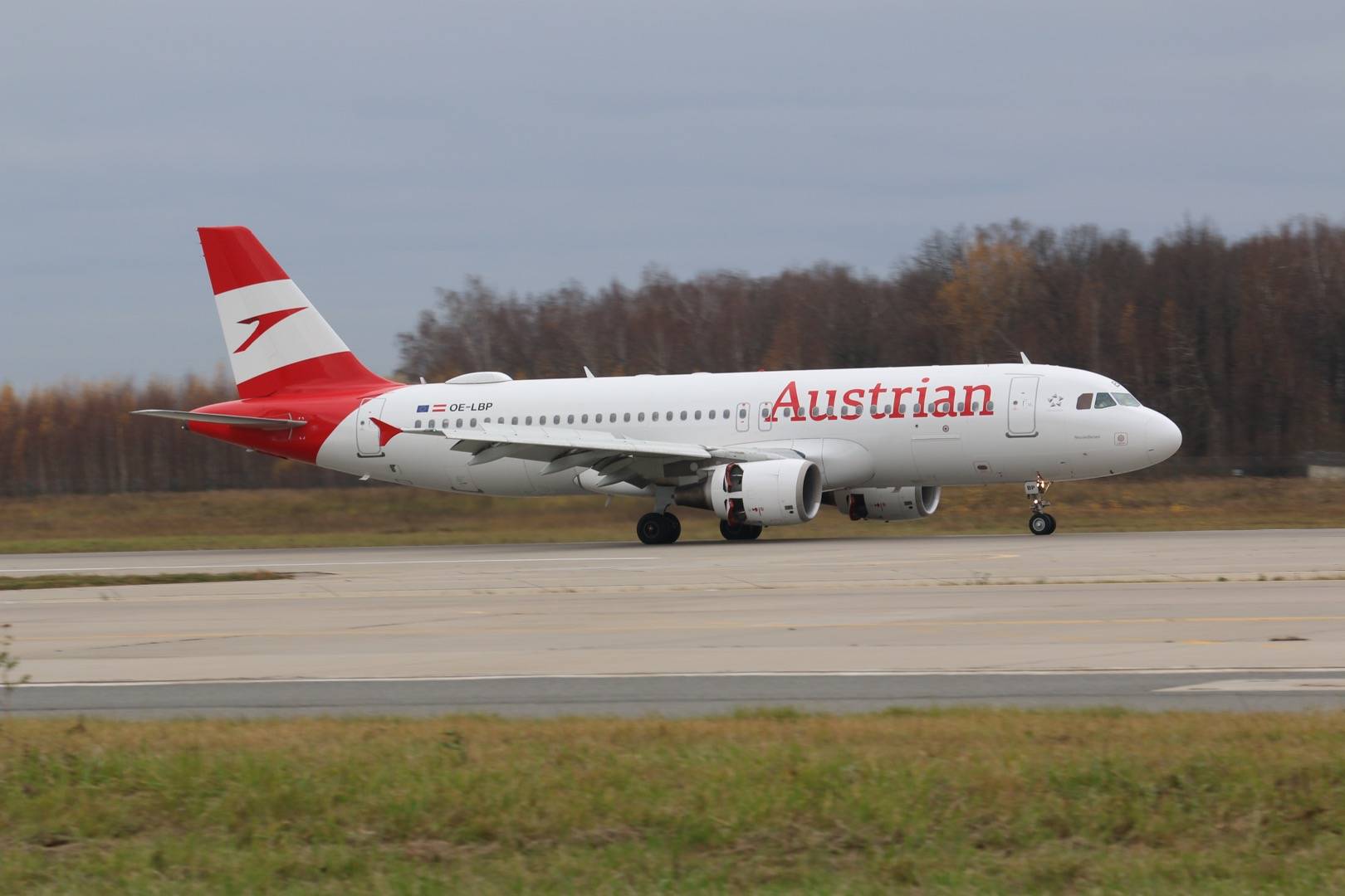 Авиакомпания австрийские авиалинии (austrian airlines) : бронирование авиабилетов онлайн. рейсы, маршруты | авиакасса