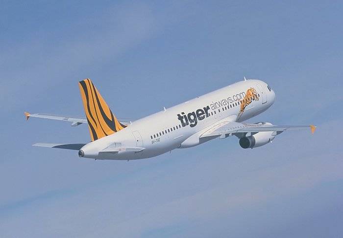 Tiger airways singapore (тайгер эйрвейс сингапур): контактная информация, услуги и классы обслуживания, цены и отзывы