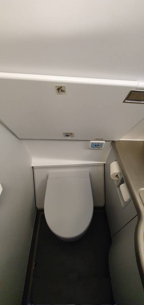 Как устроен туалет в самолете и что такое голубой лед?