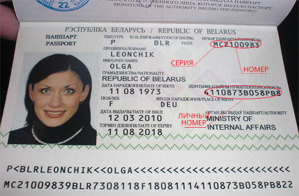 Где размещаются и что означают номер и серия заграничного паспорта