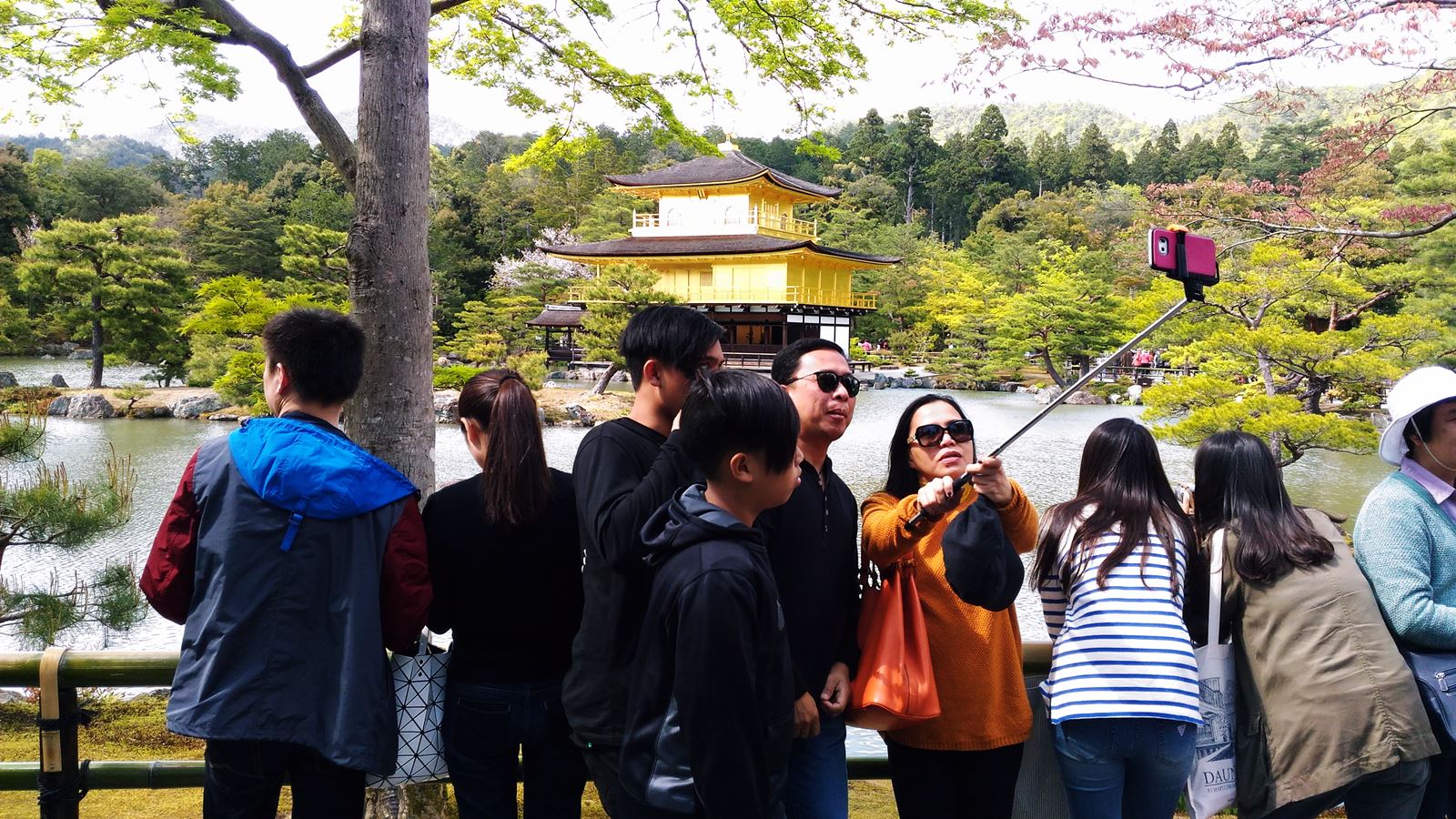 Удивительные законы японии: о чем стоит знать туристу