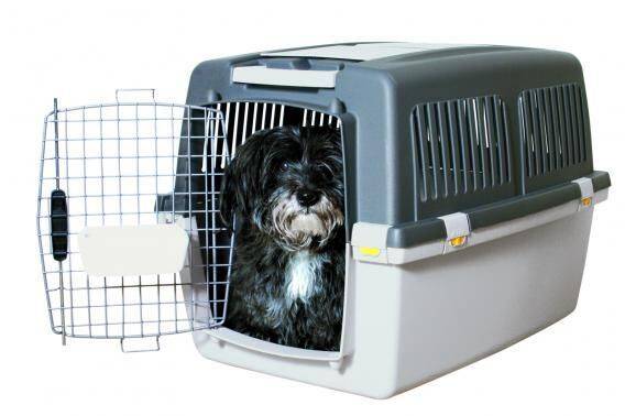 Переноски для собак в самолет - для мелких и средних пород с размерами и описанием