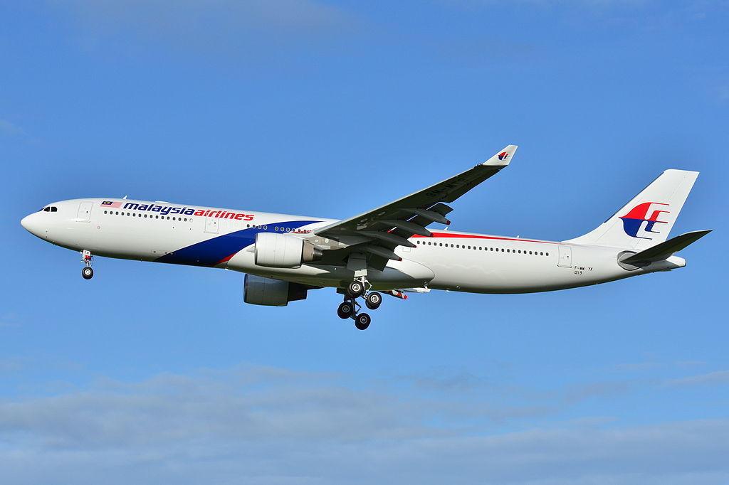 История и характеристика авиакомпании “Малайзия Эйрлайнз”