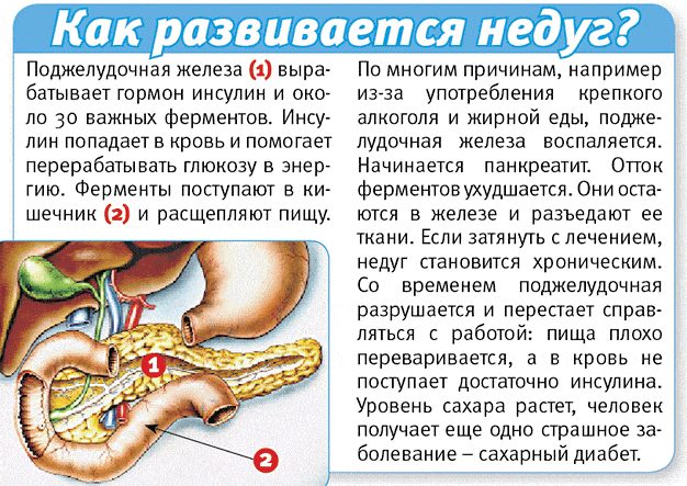 Панкреатические препараты - лечение панкреатическими ферментами (панкреатин) | университетская клиника