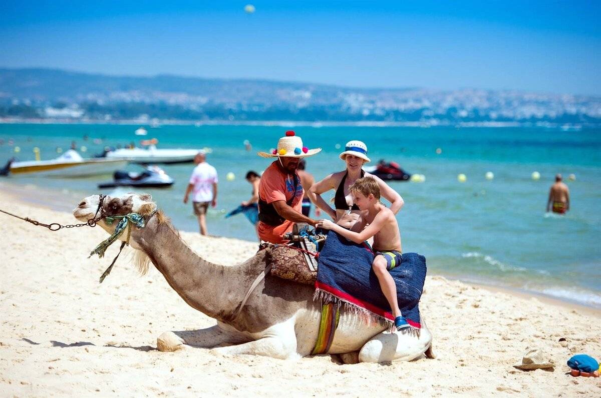 Когда ехать отдыхать в тунис: пляжный сезон по месяцам, лучшие курорты