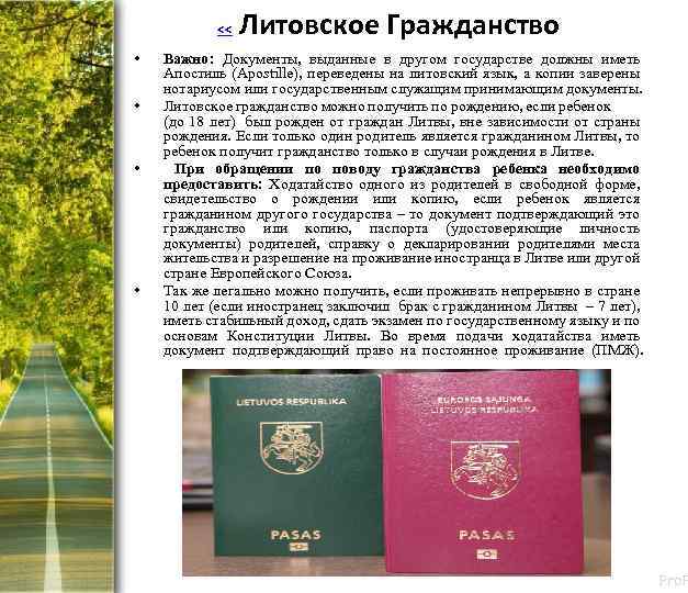 Получение второго паспорта литвы │ internationalwealth.info