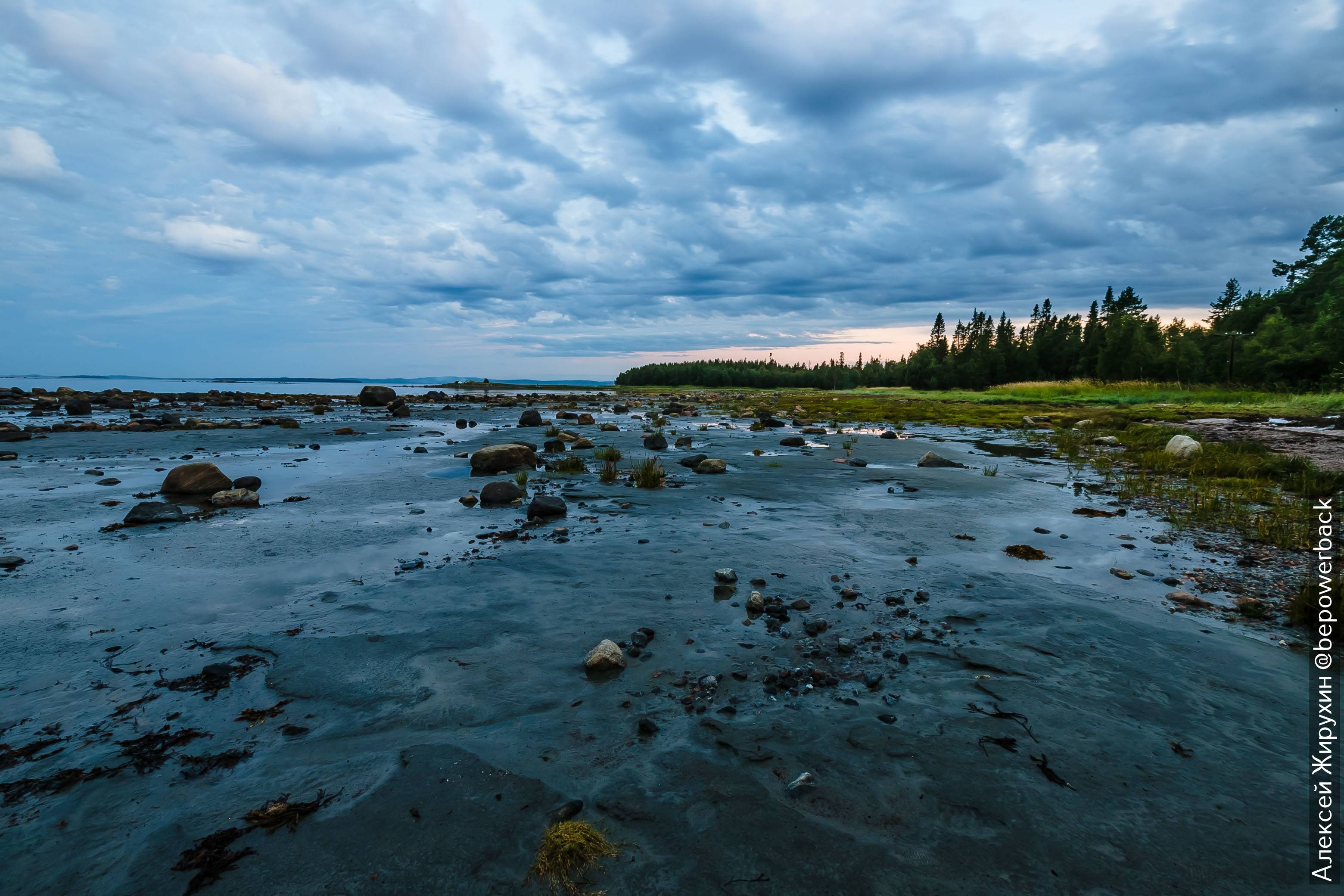 Онега северное. Умба белое море. Умба белое море Мурманск. Умба Кольский полуостров. Белое море река Умба.