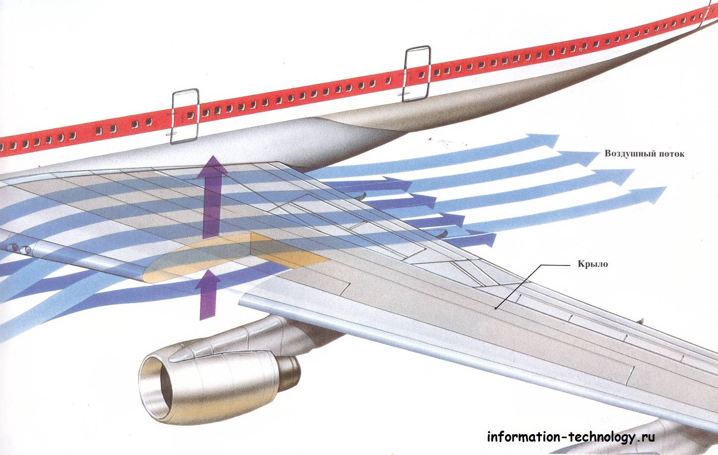 11 вещей, которые происходят с вашим телом во время полета на самолете :: инфониак