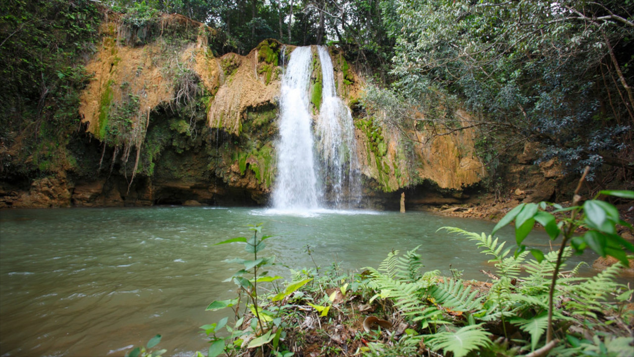 Экскурсия на саману, водопад эль лимон и остров бакарди с republica.pro