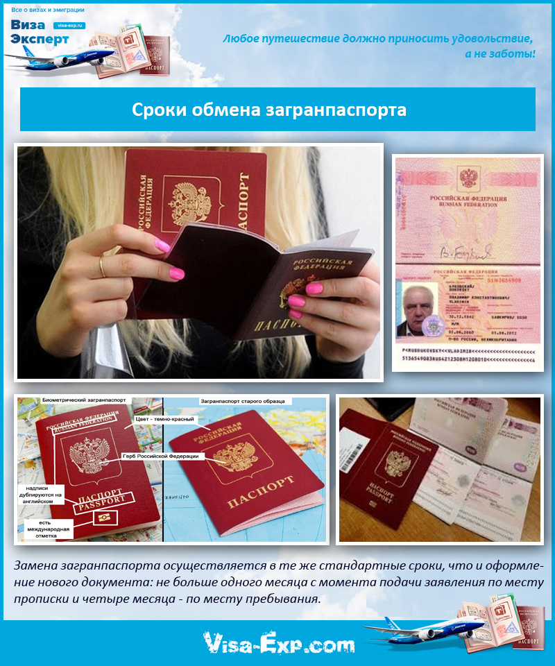 Как оформить и получить загранпаспорт: где можно сделать заграничный паспорт, порядок получения