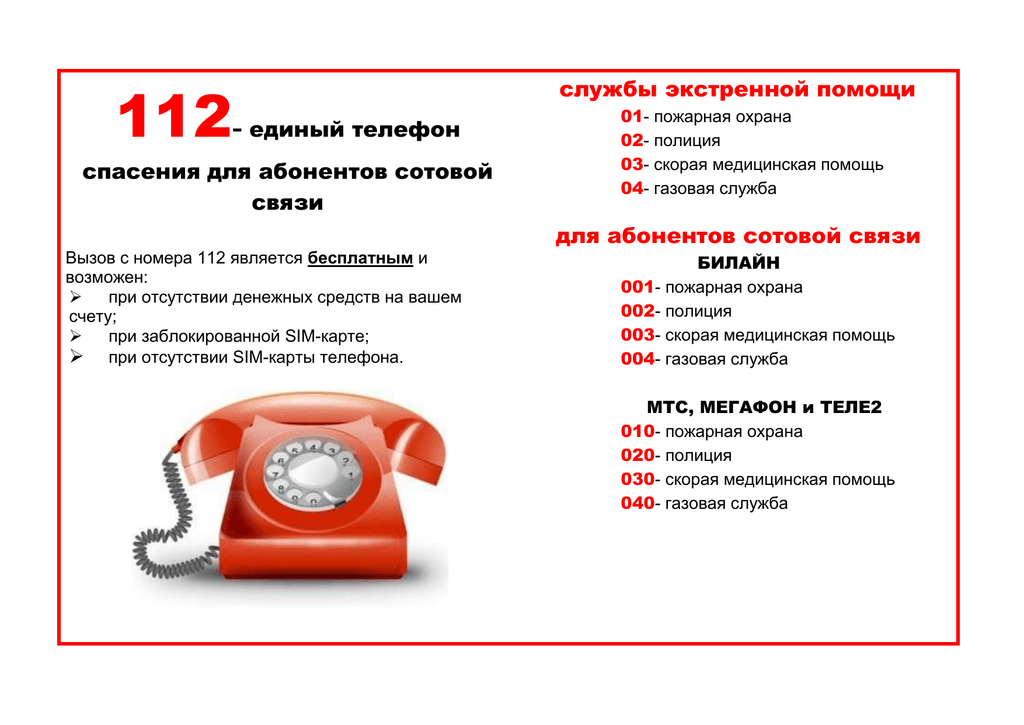 Телефон горячей линии сбербанка - бесплатный номер 8800 для физ и юр лиц