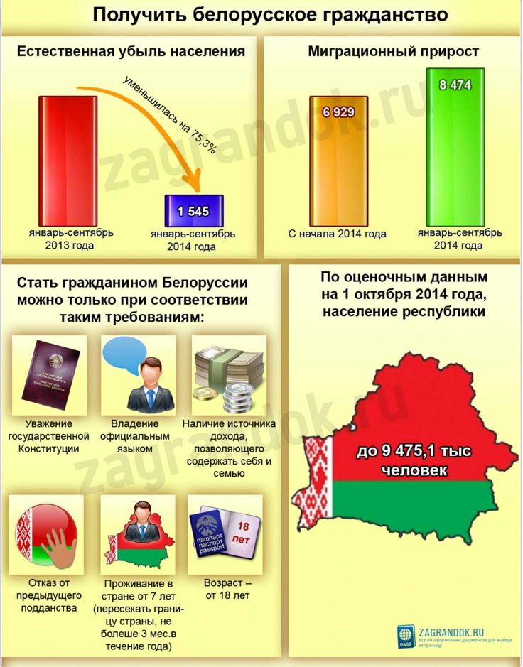 Как стать гражданином белоруссии россиянину в 2023 году