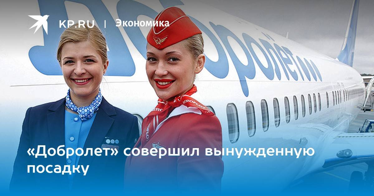 Обзор российской бюджетной авиакомпании «добролет»
