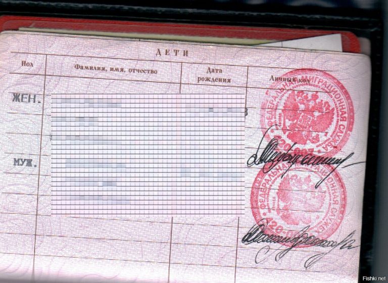 Вписать ребёнка в паспорт рф: через госуслуги, какие документы нужны - права семей