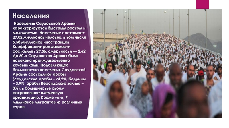 Виза в саудовскую аравию в 2023 году для россиян, нужно ли её делать | provizu.ru