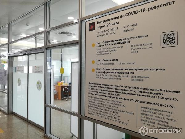 Пцр-тест на коронавирус в аэропорту внуково, домодедово, шереметьево, жуковский