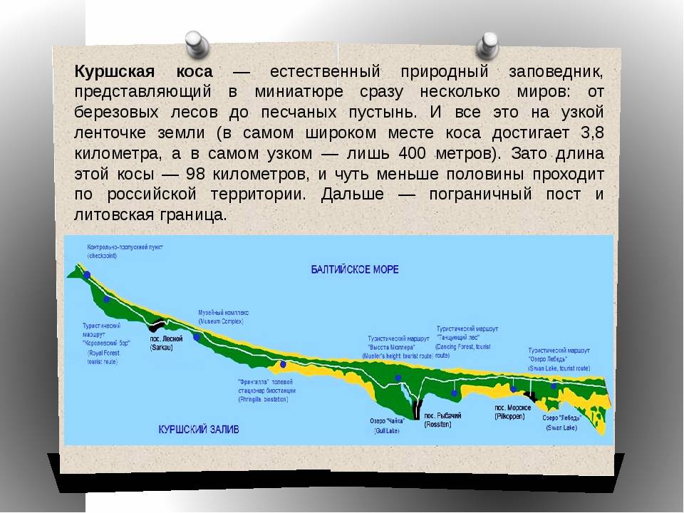 Схема маршрутов куршская коса