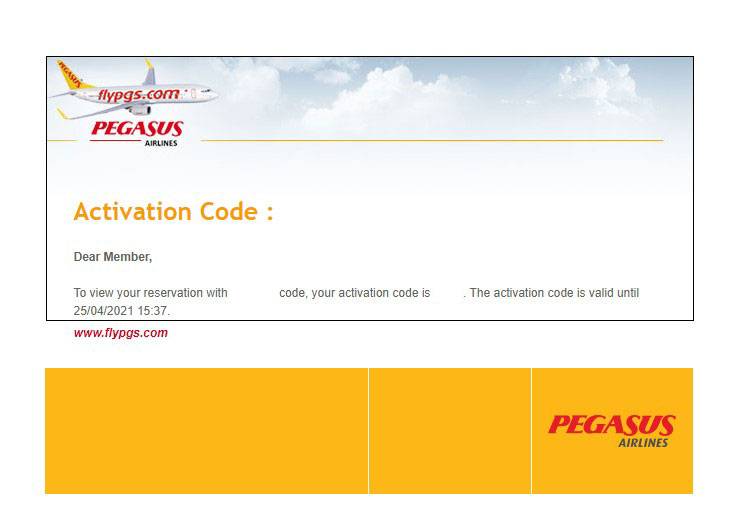 Сайт пегасус купить билет. Pegasus Airlines купить билет. Пегасус авиакомпания билеты. Билет Пегасус Эйрлайнс.