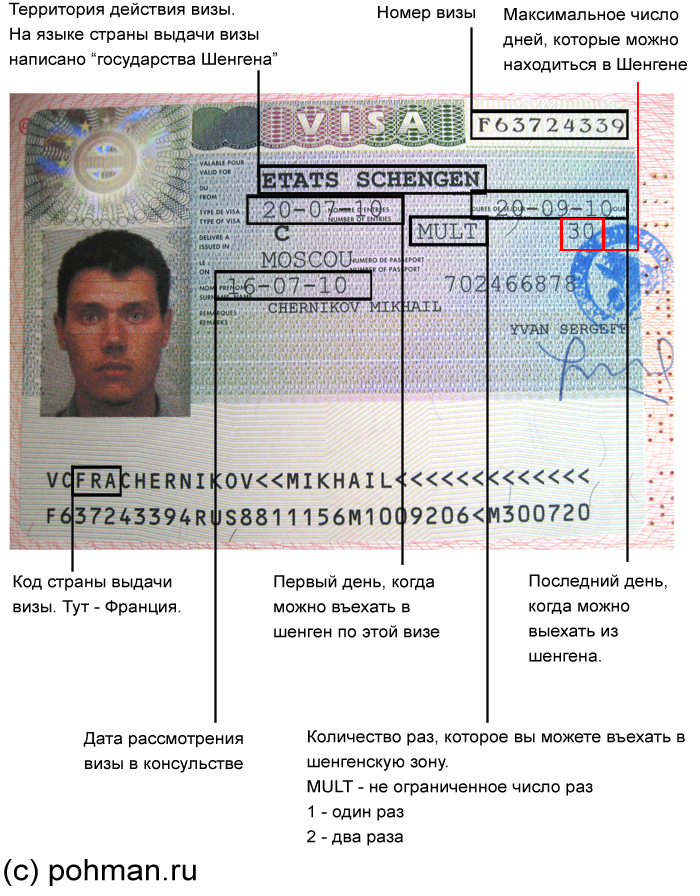Сколько делается виза шенген? какие документы необходимы для получения? видео | 2023