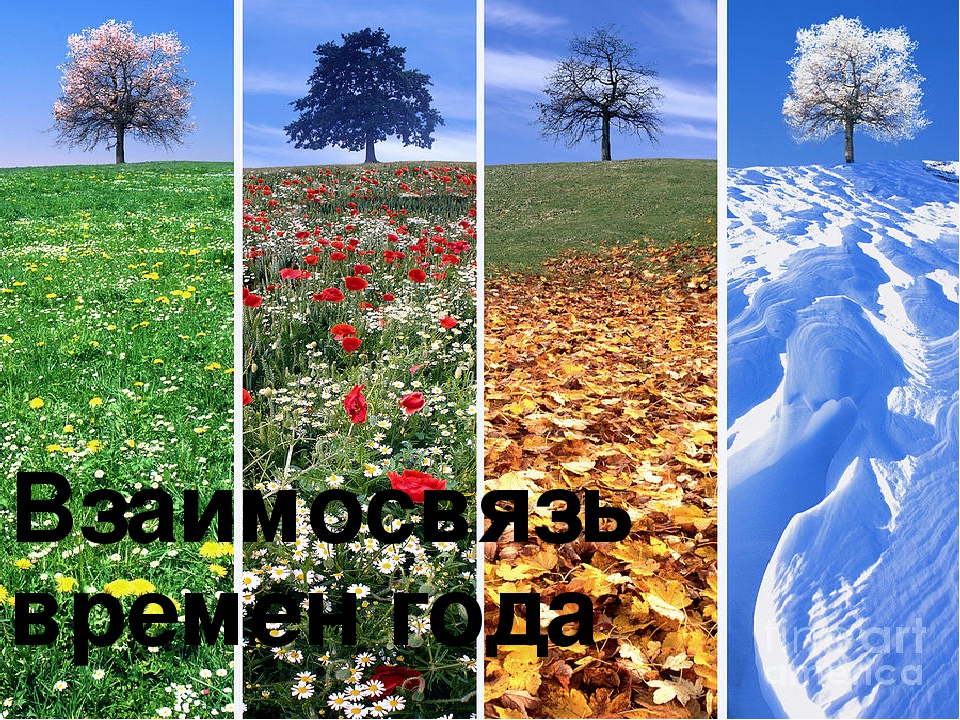 Германия летом, осенью, зимой, весной - сезоны и погода в германии по месяцам, климат, tемпература